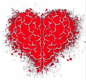 cuore Foto di Elisa da Pixabay