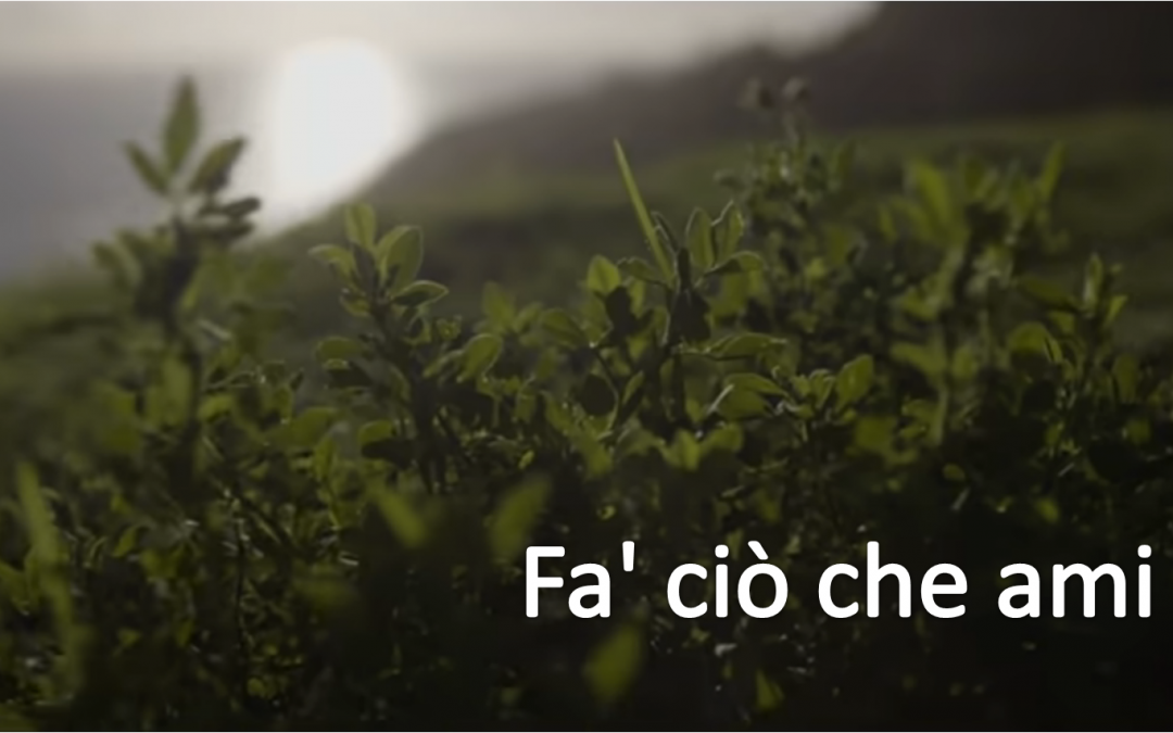 Fa’ ciò che ami