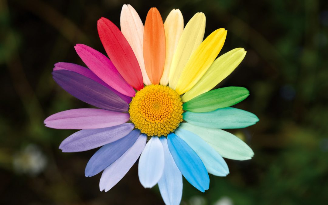 Contastorie – UNICO E IRRIPETIBILE