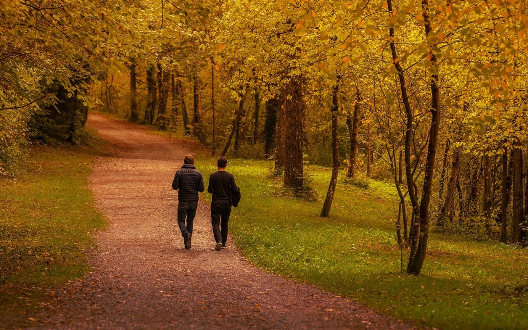 Facilitazione Olistica: per incontrare l’unico “salvatore”