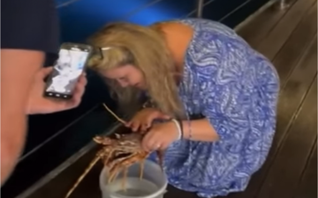Compra un’aragosta al ristorante  per liberarla al mare