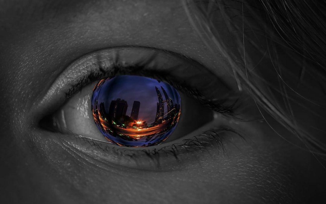 Vision and imagination