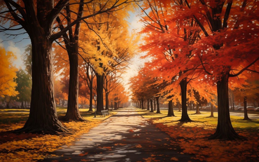 The way things are – FREE WILL
