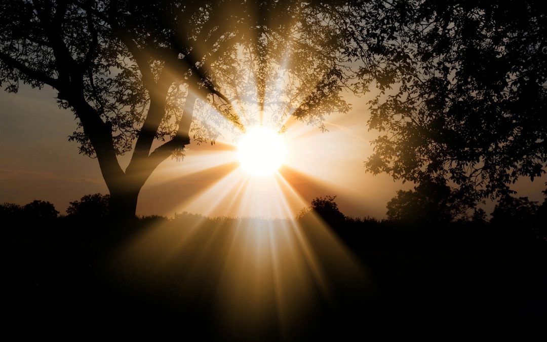 Active Neutrality – THE DECEPTIVE CONSOLATION
