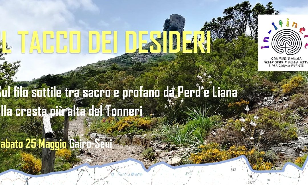 IL TACCO DEI DESIDERI