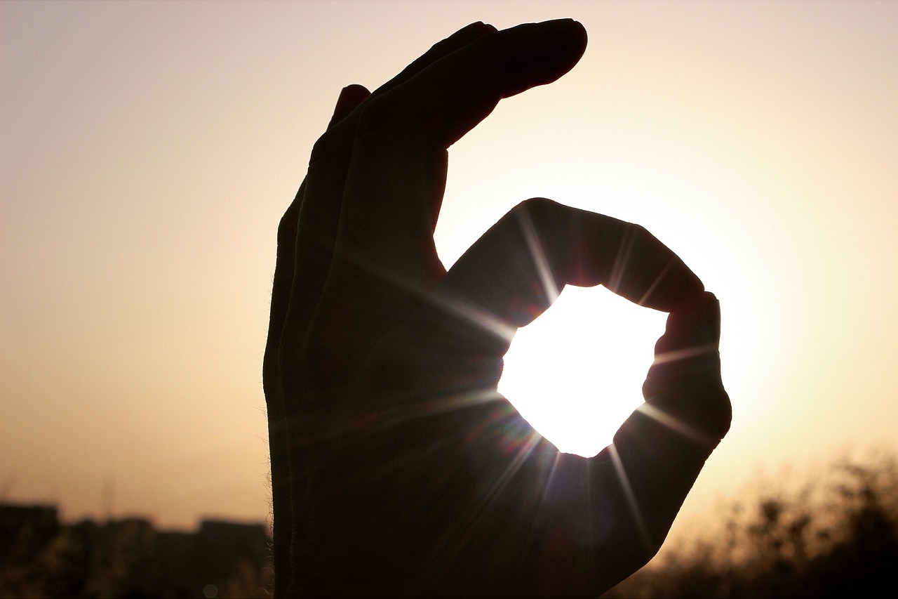 Image by Elisa from Pixabay