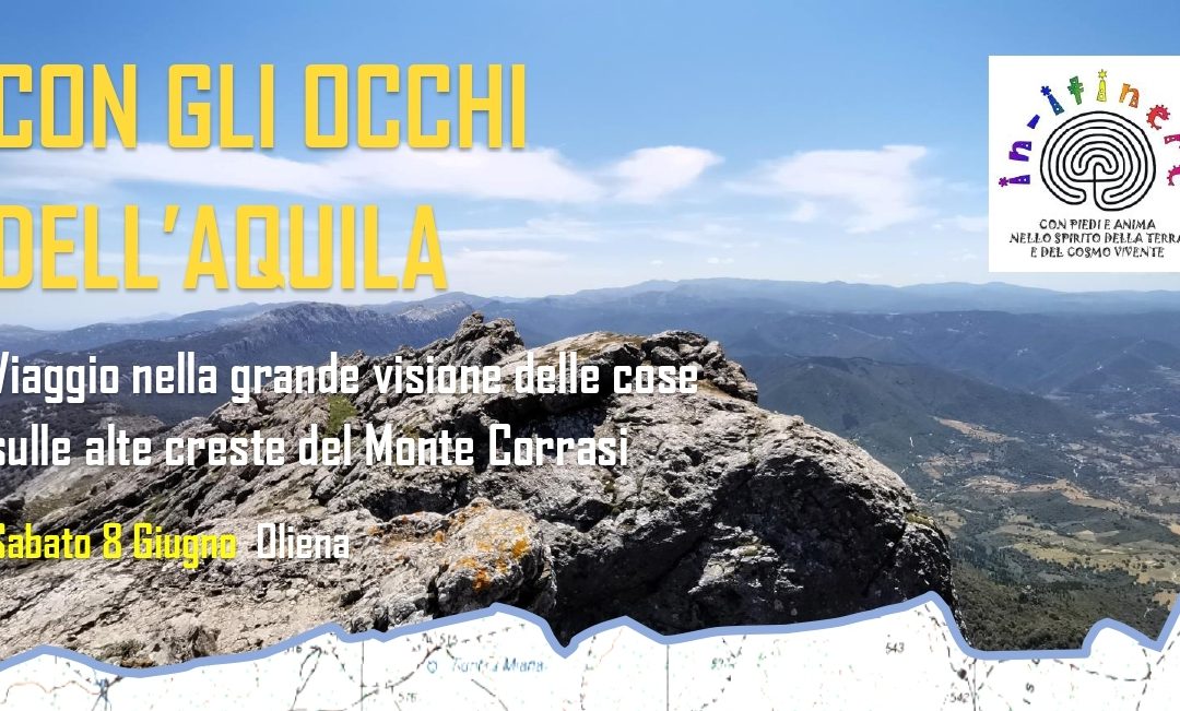 CON GLI OCCHI DELL’AQUILA