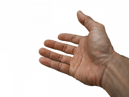 Foto di 🆓 Use at your Ease 👌🏼 da Pixabay