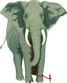 elephant-304777_1280 Foto di Clker-Free-Vector-Images da Pixabay