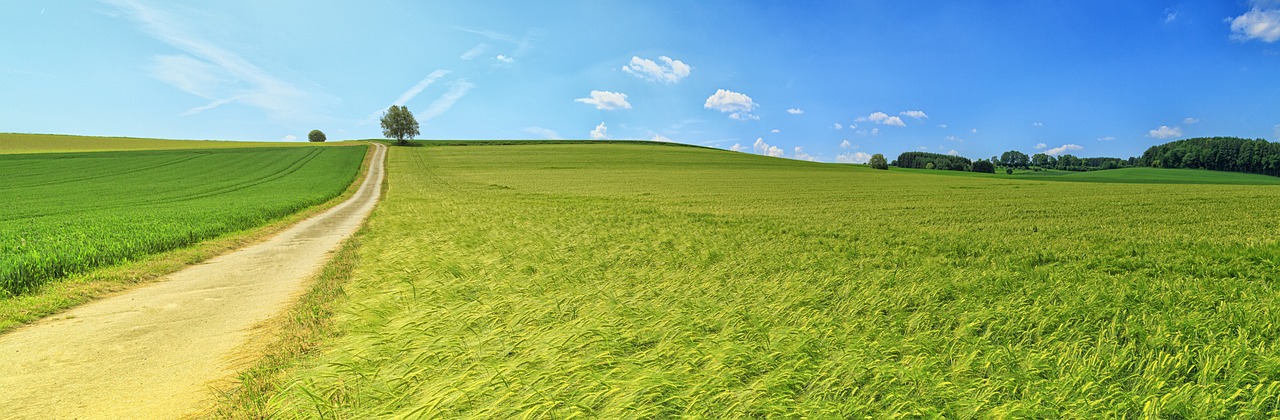 field-3629120_1280