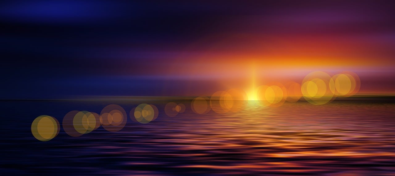Image by Elisa from Pixabay