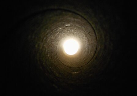 Foto di PublicDomainPictures da Pixabay