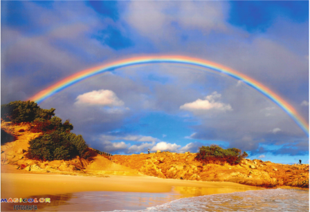 arcobaleno copyright