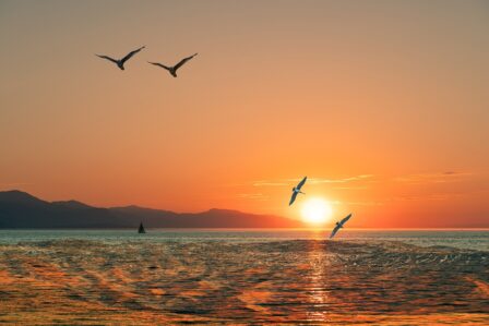 sunrise-5063306_1280