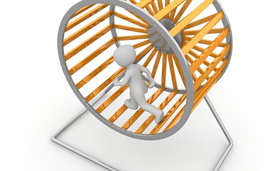 Scendi da quella ruota