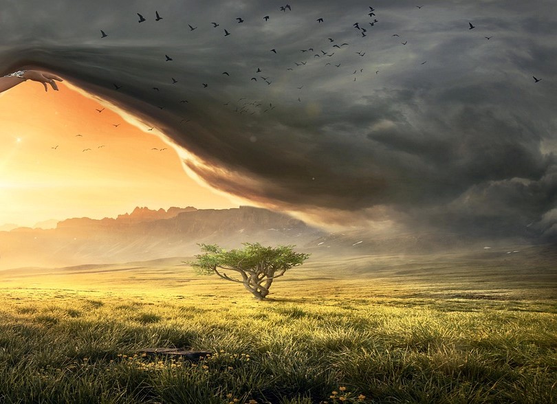 Ascolta ciò che ti muove