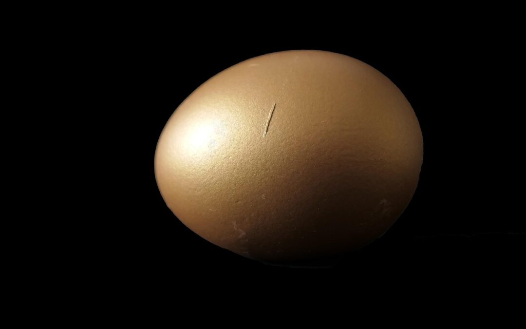 Non so dove fare l’uovo