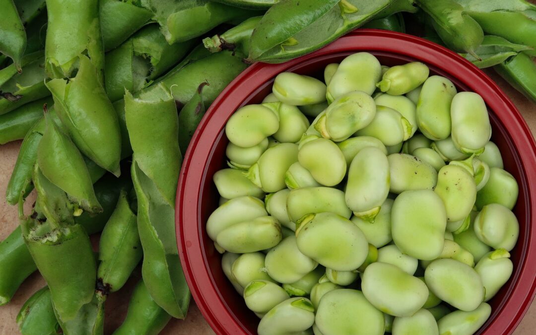 A proposito di favismo