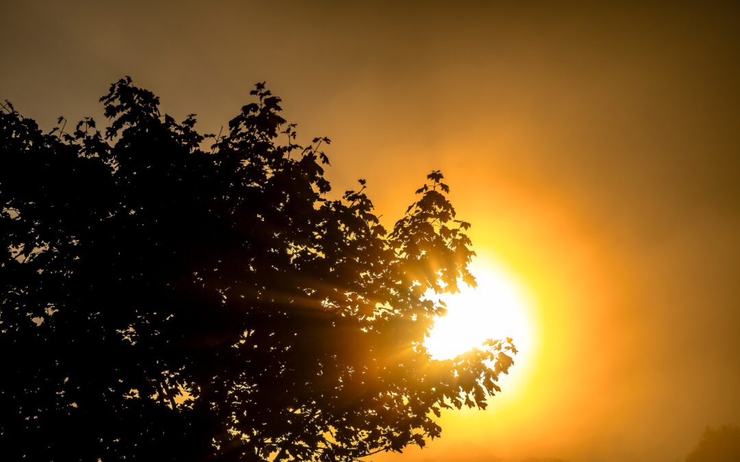 La Luce del silenzio